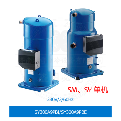 SY300A9PBI/SY300A9PBE